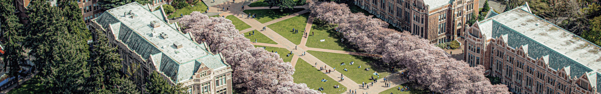 Aerial shot of the Quad during Cherry Blossom season.